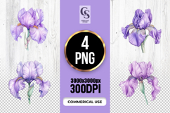 Purple Iris Flower Botanical Clipart Sublimation PNG Product Image 1
