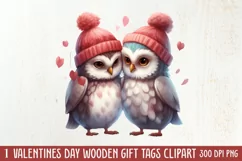 Couple Owl Valentines Day Clipart, Couple Owl Clipart Product Image 1