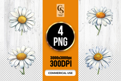 White Daisy Flower Illustration Clipart Sublimation PNG Product Image 1