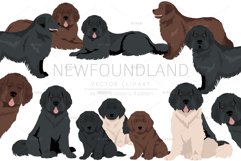 Newfoundland cliaprt Product Image 1