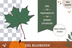 Green Maple leaf Illustration, Maple PNG, Autumn Print Product Image 1