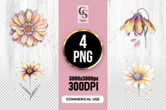 Pastel Daisy Floral Botanical Clipart Sublimation PNG Product Image 1
