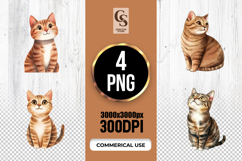 Cute Tabby Cat Watercolor Clipart Sublimation PNG Product Image 1