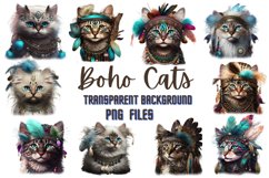10 Boho Cats png clipart Product Image 1
