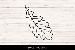 Hand Drawn Fall Leaf SVG Product Image 1