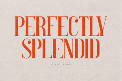 Perfectly Splendid Serif Font Elegant Display Product Image 1