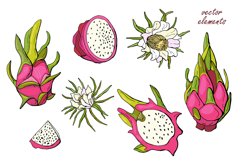 Pitahaya / Dragon fruit SVG Product Image 2