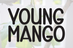 Young Mango Product Image 1