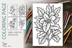 Holly flowers|Coloring page Product Image 1