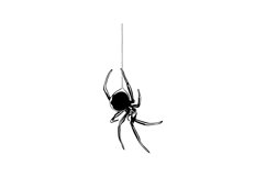 Spider Svg/Png/Jpg/Ai/Vector Spider/Black spider Svg Product Image 2