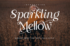 Sparkling Mellow - Elegant Sans Font Product Image 1
