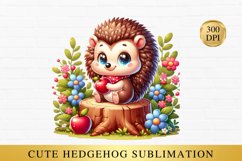 Cute hedgehog clipart, hedgehog sublimation Product Image 1