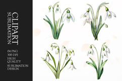 Watercolor Lily Flower Clip Art Sublimation png Product Image 1