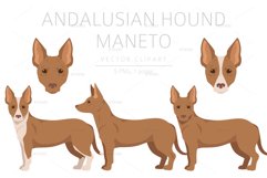 Andalusian Hound Maneto clipart Product Image 1