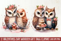 Couple Owl Valentines Day Clipart, Couple Owl Clipart Product Image 1