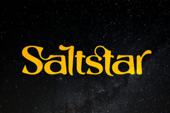 Saltstar Serif Font Product Image 1