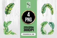 Watercolor Banana Leaf Clipart Sublimation PNG Product Image 1