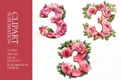 Floral numbers clipart sublimation Product Image 1