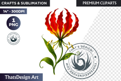 Flower Clipart PNG, Botanical Illustration Floral graphic Product Image 1