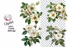Flowers, Clipart, Ephemera, PNG, Junk journal Product Image 1