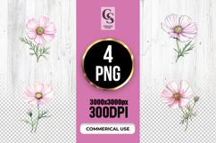 Pink Cosmos Flower Watercolor Clipart Sublimation PNG Product Image 1