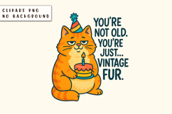 Sarcastic Cat Saying PNG, Birthday illustration, Sarcasm Product Image 1