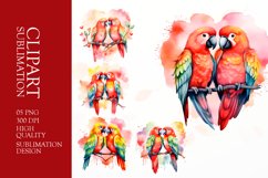 Watercolor parrot couple clipart png Product Image 1