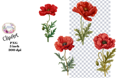 Poppy, flowers, Ephemera, PNG, Clipart Product Image 1