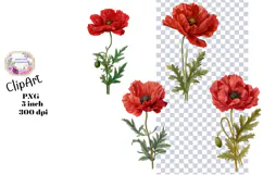 Poppy, flowers, Ephemera, PNG, Clipart Product Image 1