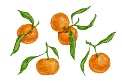 Set of ripe tangerine fruits. Product Image 1