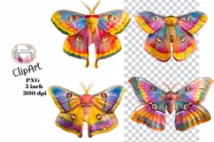 Moths, Junk Journal, PNG, Clipart, Ephemera, Butterflies Product Image 1