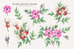 Watercolor rosehip / Watercolor clipart PNG Product Image 2