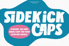 Sidekick Caps Product Image 1