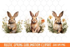 Rustic Spring Clipart, Vintage Spring Clipart Product Image 1