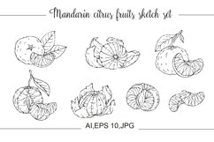 Mandarin citrus fruits sketch set. Product Image 1