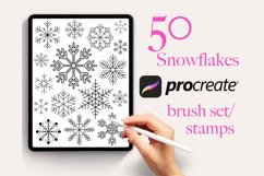 50 Snowflakes Christmas Procreate Stamps Brushes Product Image 1