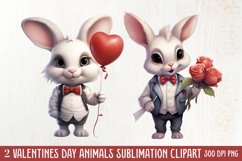 Valentines Day Animals Clipart, Valentines Couple Product Image 1