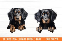 Peeking Dog Collection Clipart Product Image 1