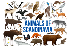 vector set - animals of scandinavia Product Image 1