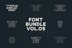 Font Bundle Vol.05 8 Premium Fonts Product Image 1
