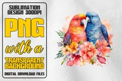 Parrot Watercolor Sublimation PNG, Paradise Png, Bird PNG Product Image 1