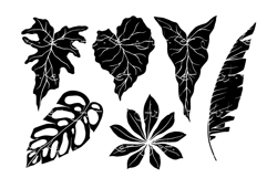 Set of silhouettes of tropical leaves. Product Image 1