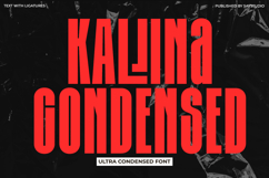 Kalina - Ultra Condensed Font Product Image 1