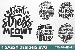 Sassy Designs SVG Product Image 1