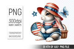 4th Of July Bunny Sublimation Clipart PNG Design Product Image 1