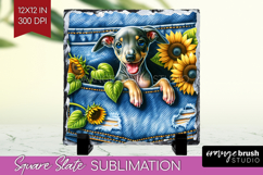 Denim Slate PNG - Dog In Pocket Square Slate Sublimation Product Image 1