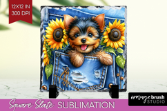Denim Slate PNG - Dog In Pocket Square Slate Sublimation Product Image 1