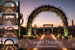 8 Desert Dreams Digital Backdrops Product Image 1