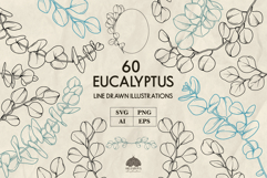 Eucalyptus line art collection Svg Png Eps Product Image 1
