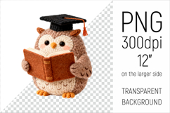 Knitted Graduation Owl with Book | Amigurumi Clipart Product Image 1